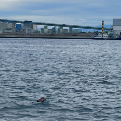 사랑하고, 믿어주고 (DEMO)