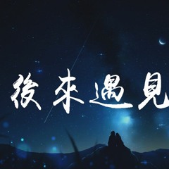 刘彬濠 - 后来遇见他「后来遇见他，陪我春秋冬夏」【動態歌詞/Lyrics Video】