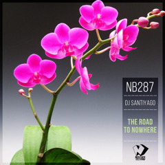 Dj Santiyago - Reaching the Bottom (Original Mix)