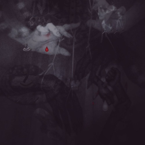 lacitgloshawty & tali so "shank" wixxo