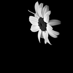 Rip/RiseInPeace @prod jones