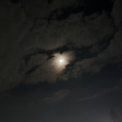 meltdown (feat. Che Paxin)