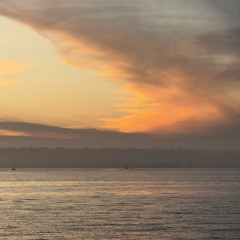 290장(주 임재 안에 늘 살게 하소서)