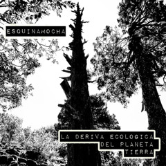 3. Deriva 3 (Unidad ecologica nicho organismo)