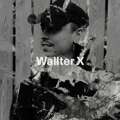 Modulate 51 x Phase Collectve | Wallter X