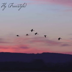 FLY (Freestyle)