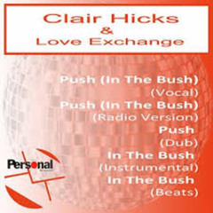 Push (In The Bush)  Extended Dance Mix Djloops (1984)