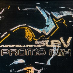 STEV - PROMO MIX 2024