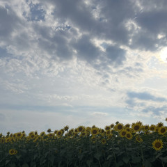 おいしい空気 - 9
