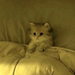 I Dønt Feel Luv w/ globe