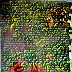 Residual Attributes for Holistic Memory Encoding: 2 [of4]