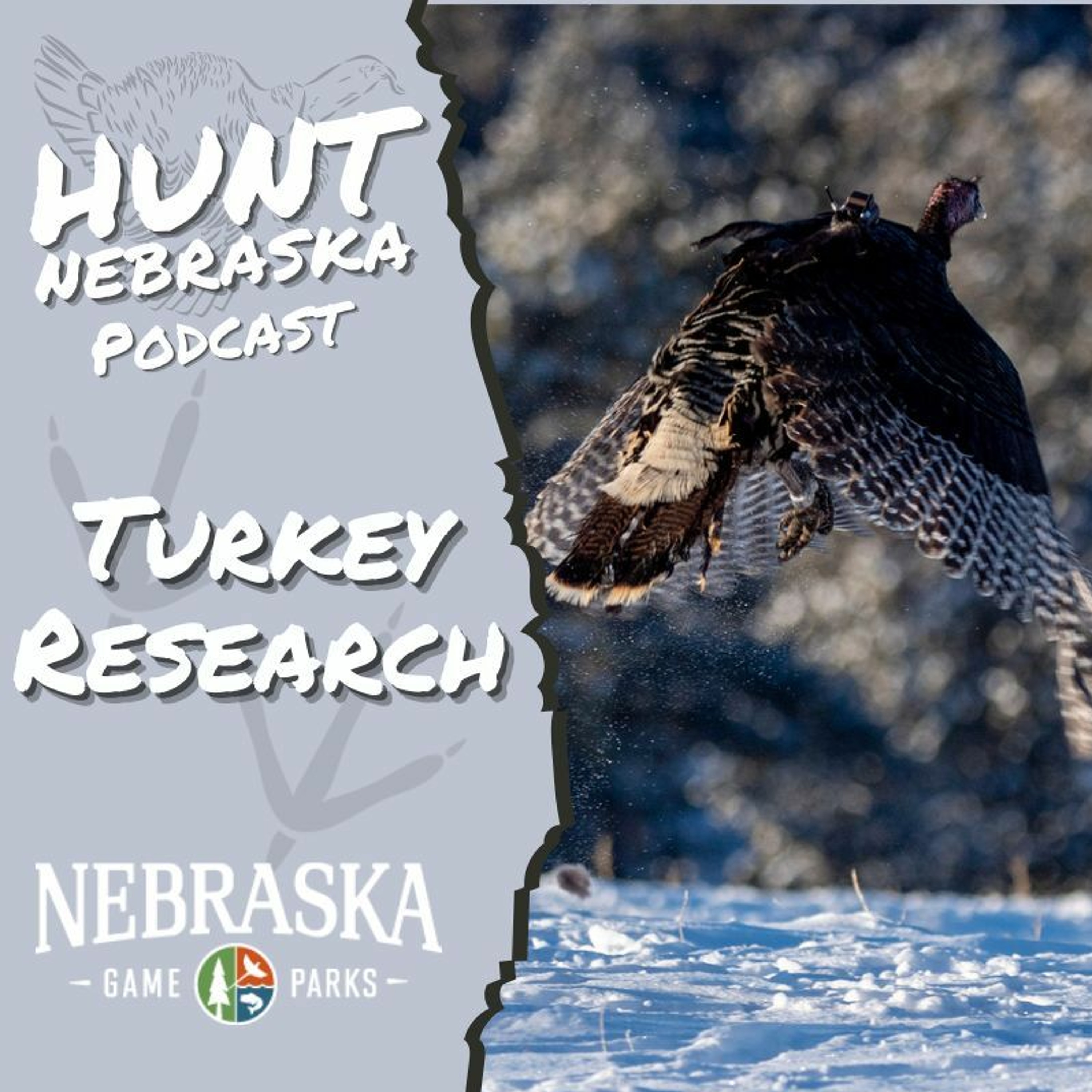 UPDATE: Turkey Research