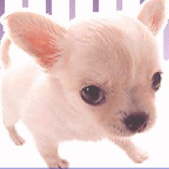 SAY MY NAME CUTE FUK EDIT