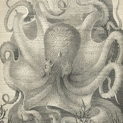 Octopus (Syd Barrett)