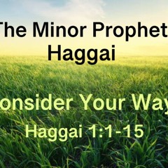 Consider Your Ways - Haggai 1:1-15