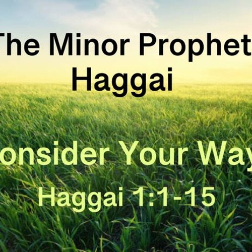 Consider Your Ways - Haggai 1:1-15