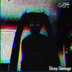 1. - Sleep Damage