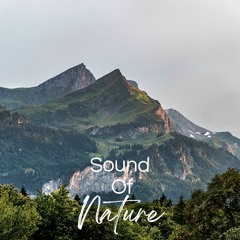 30 Beautiful Nature Sounds, Pt. 23