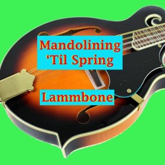 Mandolining 'Til Spring