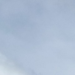 020522 - Proceduralambience