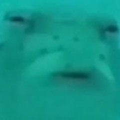 Salvatore Ganacci  Fight Dirty