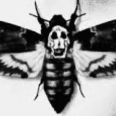 Silence Of The Lambs