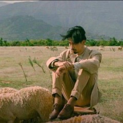 Nhạc cũ Denvau tổng hợp