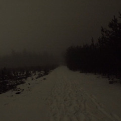 bleak.