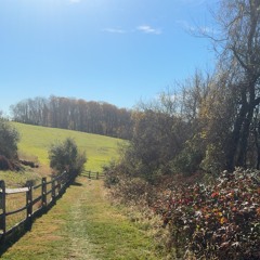 u serious (prod.aotb)