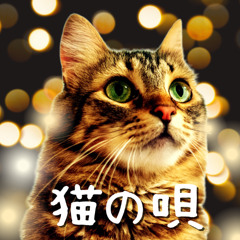 猫の唄
