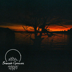 Sunset Grooves Podcast #252 - Damien Harmand