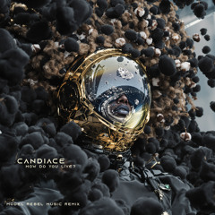 How Do You Live? Model Rebel Music Remix