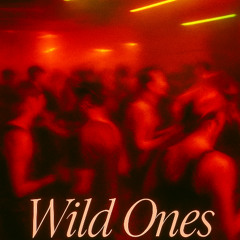 Wild Ones (FUNK4 Edit)