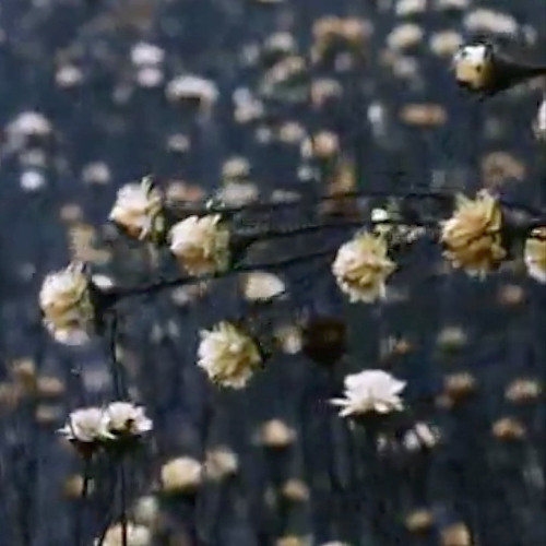 Fragment #03: Sublimated Grief