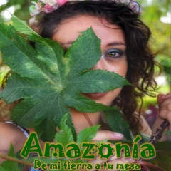 Amazonía, de mi tierra a tu mesa - Capítulo 1: La gran region Amazónica -