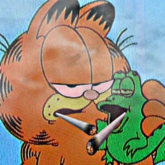 she cannot hit my mid