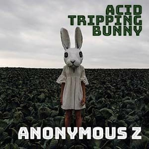 Techno / Acid / Minimal