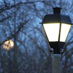 Cinema Tonight - October Continues To Haunt - 2022-10-15