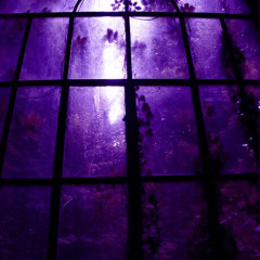 black veiled misfeatures of an ill mind