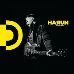 Bongo Fury - Décembre 2024 - Harun Fury