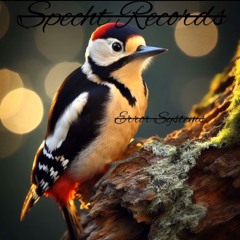 MII (by Error Systems)