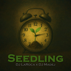 Seedling