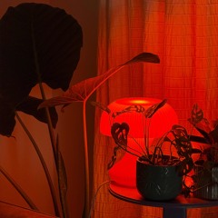 penumbras01