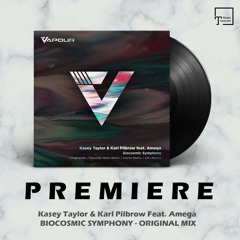 PREMIERE: Kasey Taylor & Karl Pilbrow Feat. Amega - Biocosmic Symphony (Original Mix) [VAPOUR]