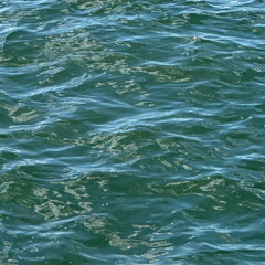 FLUID SOUNDS (from the center of the world)
