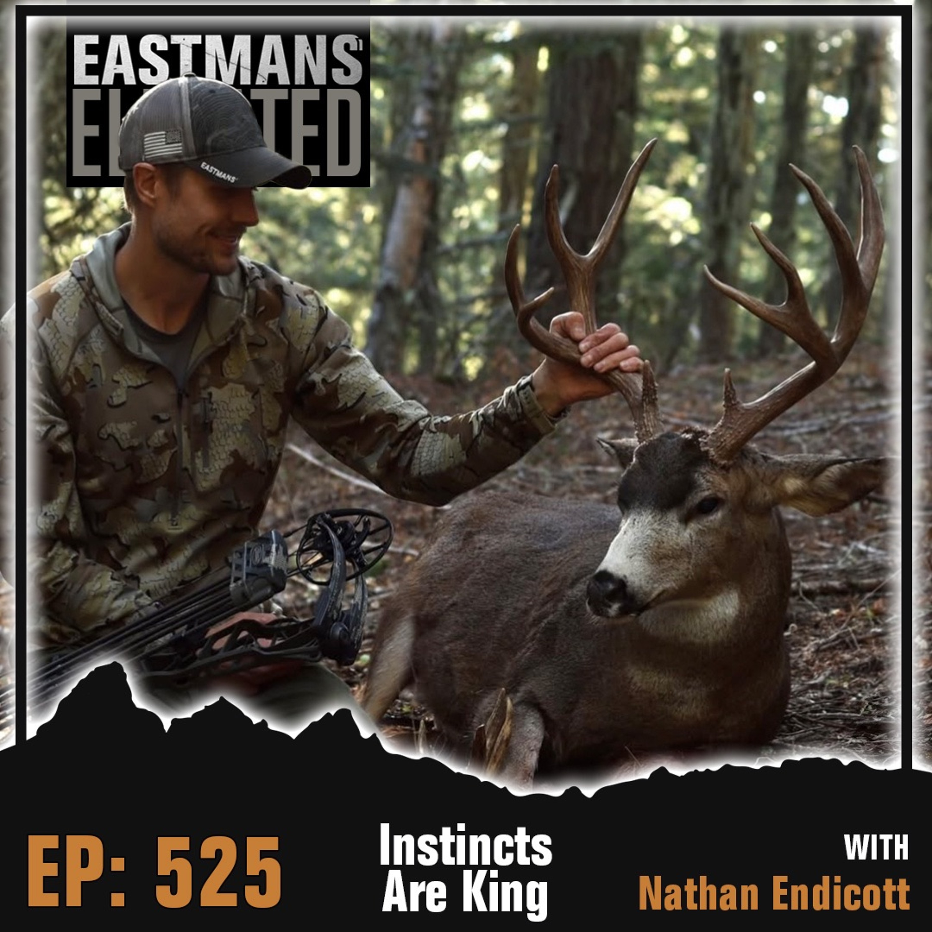 Episode 525:  Instincts Are King With Nathan Endicott
