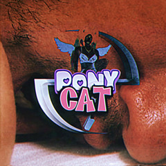 PONYCAT - SOPHIE (ponyboy x kitty cat)
