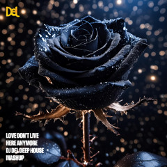 Rose Royce - (Love Don’t Live Here Anymore) Deep House Mashup