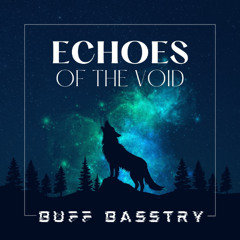Echoes Of The Void