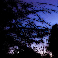 Deepest Fold Of The Darkest Curtain